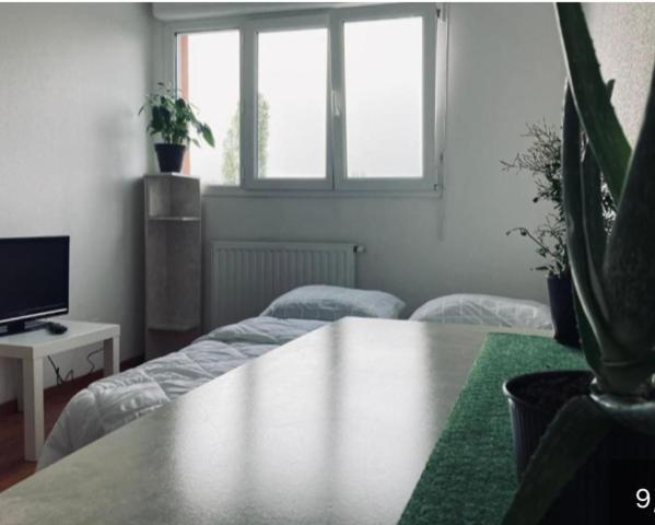 Zenith Strasbourg 2 Chambre Eckbolsheim ภายนอก รูปภาพ